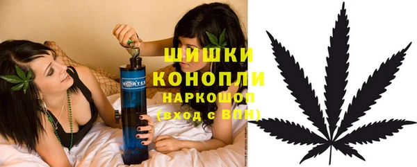 spice Богданович