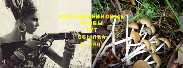 марихуана Богородицк